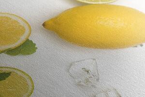 Obraz směs citrusových plodů