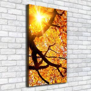 Vertikální Foto obraz na plátně Podzimní strom ocv-89060594