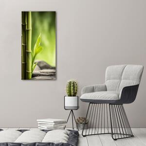 Vertikální Moderní fotoobraz canvas na rámu Bambus ocv-89101727