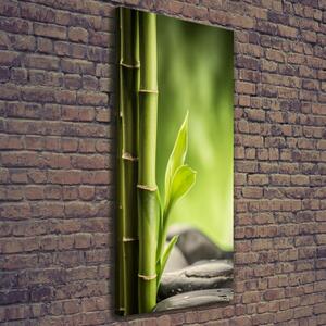 Vertikální Moderní fotoobraz canvas na rámu Bambus ocv-89101727