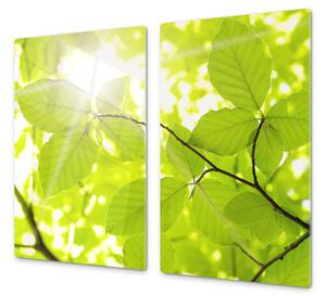 Ochranná deska slunce mezi listím - 52x60cm / Bez lepení na zeď