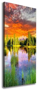 Vertikální Foto obraz na plátně Jezero v lese ocv-89317009