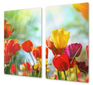 Ochranná deska barevné tulipány - 40x40cm / Bez lepení na zeď