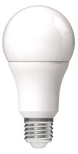 Prémiová LED žárovka E27 13W 1521lm, studená, ekv.100W, 3 roky