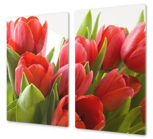 Ochranná deska květy červené tulipány - 50x70cm / Bez lepení na zeď