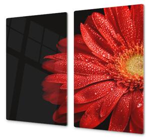 Ochranná deska červený květ gerbery - 60x80cm / Bez lepení na zeď