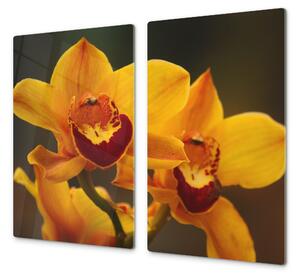 Ochranná deska květy sytě žluté orchideje - 50x70cm / Bez lepení na zeď