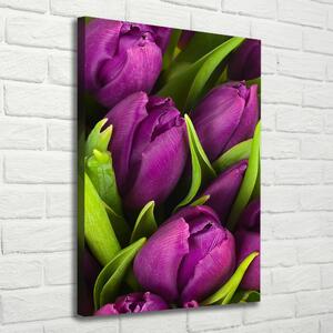 Vertikální Foto obraz na plátně Fialové tulipány ocv-89975331
