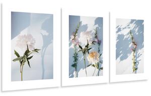 Sada plakátů Podzimní květiny - 3 dílná Barva rámu: Bez rámu, Rozměry: 99 x 45 cm