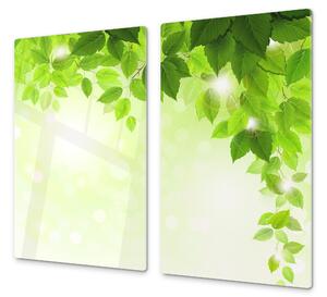 Ochranná deska zelené listí - 52x60cm / S lepením na zeď