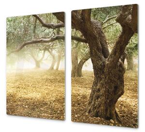 Ochranná deska strom olivovník - 52x60cm / S lepením na zeď