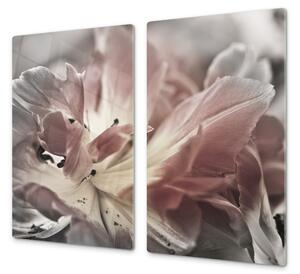 Ochranné sklo abstraktní šedý tulipán - 40x40cm / S lepením na zeď