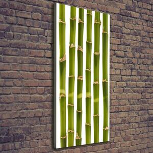 Vertikální Moderní fotoobraz canvas na rámu Bambus ocv-90591084