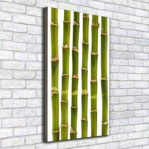 Vertikální Moderní fotoobraz canvas na rámu Bambus ocv-90591084