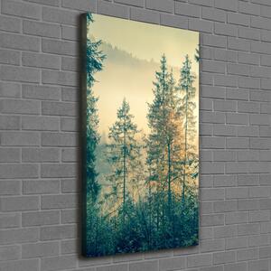 Vertikální Foto obraz na plátně Mlha nad lesem ocv-90691876