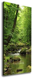 Vertikální Foto obraz canvas Řeka v lese ocv-90680304