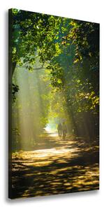 Vertikální Foto obraz na plátně Stezka v lese ocv-90692726