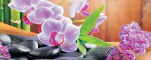 Postershop Fototapeta: Orchidej (1) - 104x250 cm