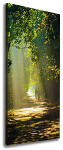 Vertikální Foto obraz na plátně Stezka v lese ocv-90692726
