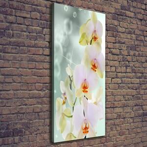 Vertikální Vertikální Foto obraz na plátně do obýváku Orchidej ocv-91133337