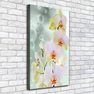 Vertikální Vertikální Foto obraz na plátně do obýváku Orchidej ocv-91133337