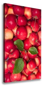 Vertikální Foto obraz na plátně Červená jablka ocv-91288454