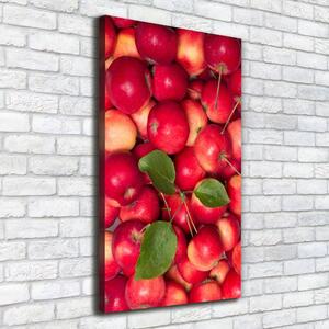 Vertikální Foto obraz na plátně Červená jablka ocv-91288454