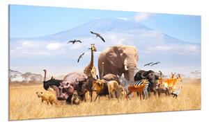 Obraz skleněný africké zvířata v přírodě - 34 x 72 cm