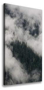 Vertikální Foto obraz na plátně Mrak nad lesem ocv-92103415