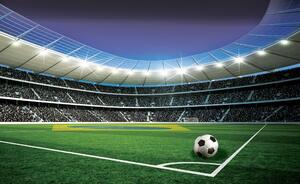 Postershop Fototapeta vliesová: Fotbalový stadion (5) - 416x254 cm