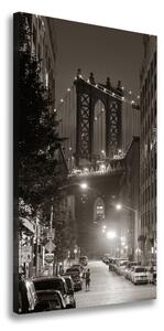 Vertikální Foto obraz na plátně Manhatttan Nový York ocv-92715166