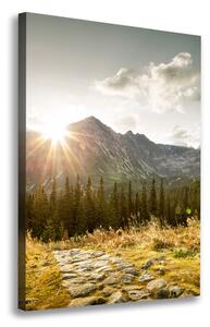 Vertikální Foto obraz na plátně Západ slunce Tatry ocv-93028328
