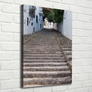 Vertikální Foto obraz na plátně Kamenné schody ocv-93287021
