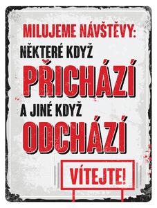Postershop Plechová cedule: Milujeme návštěvy - 30x40 cm