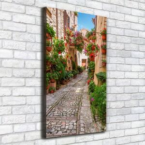 Vertikální Foto obraz na plátně Umbrie Itálie ocv-93996598