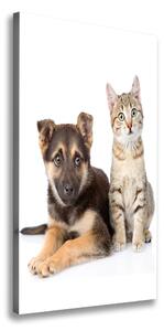 Vertikální Vertikální Foto obraz na plátně do obýváku Pes a kočka ocv-94452483