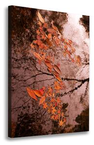 Vertikální Foto obraz na plátně Podzimní listí ocv-94898362