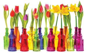 Postershop Fototapeta vliesová: Tulipány - 104x70,5 cm