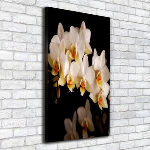 Vertikální Vertikální Foto obraz na plátně do obýváku Orchidej ocv-95410450
