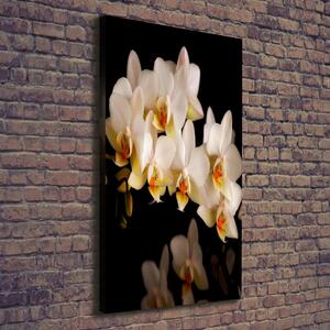 Vertikální Vertikální Foto obraz na plátně do obýváku Orchidej ocv-95410450