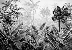 Postershop Fototapeta vliesová: Palmy a kapradí (černobílé) - 254x184 cm