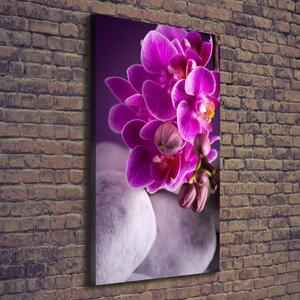 Vertikální Foto obraz na plátně Růžová orchidej ocv-95985968