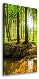 Vertikální Foto obraz na plátně Pramen v lese ocv-96124300