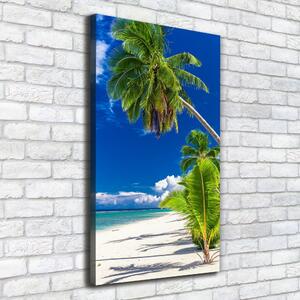 Vertikální Foto obraz na plátně Tropická pláž ocv-96597794