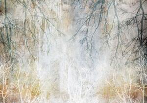 Postershop Fototapeta vliesová: Podzimní větve - 254x184 cm