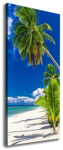 Vertikální Foto obraz na plátně Tropická pláž ocv-96597794