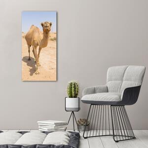 Vertikální Foto obraz na plátně Velbloud na poušti ocv-97157557