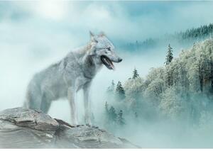 Postershop Fototapeta vliesová: Nature forest wolf snow - 208x146 cm