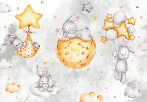 Postershop Fototapeta vliesová: Children rabbit - 208x146 cm