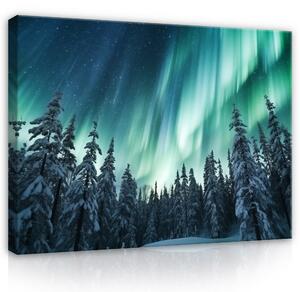 Postershop Obraz na plátně: Landscape Forest Northern Lights - 100x75 cm